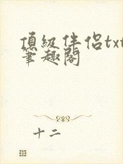 顶级伴侣txt笔趣阁封面