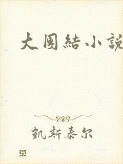 大团结小说阅读