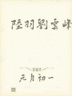 陆羽刘云峰封面