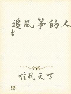 追风筝的人txt