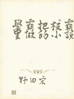 学霸把校霸往死里做的小说