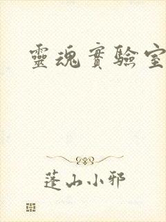 灵魂实验室封面