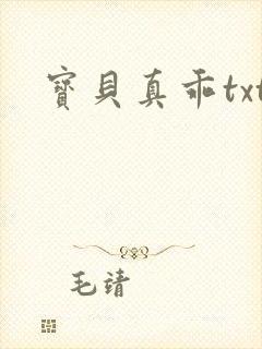 宝贝真乖txt封面