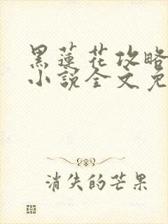 黑莲花攻略手册小说全文免费阅读笔趣阁
