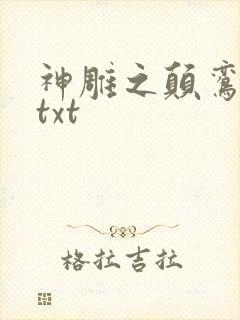 神雕之颠鸾倒凤txt