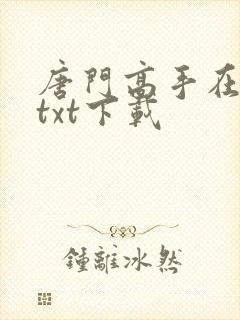唐门高手在异世txt下载