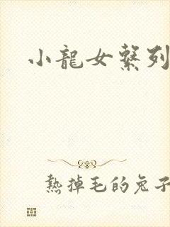 小龙女系列小说