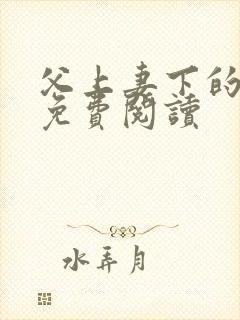 父上妻下的小说免费阅读封面