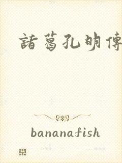诸葛孔明传