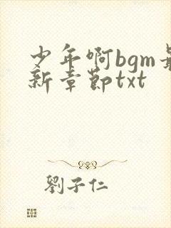 少年啊bgm最新章节txt