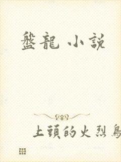盘龙 小说封面