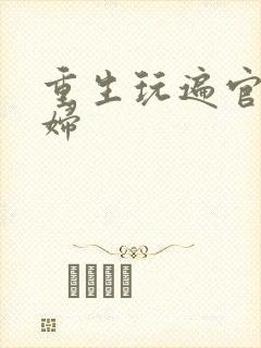 重生玩遍官场贵妇