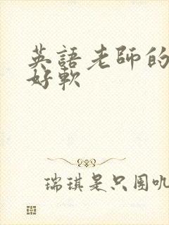 英语老师的兔子好软