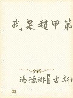 我是赵甲第小说