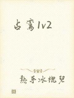 占鸾1v2