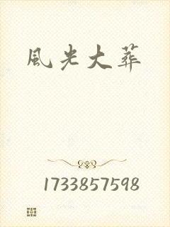 风光大葬封面