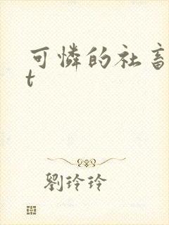 可怜的社畜txt