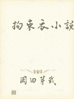 拘束衣小说