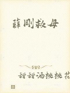 薛刚救母