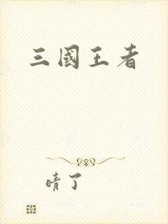三国王者