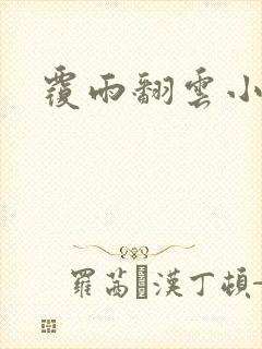 覆雨翻云小说