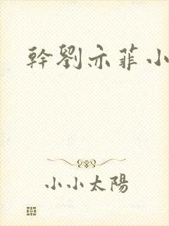 干刘亦菲小说