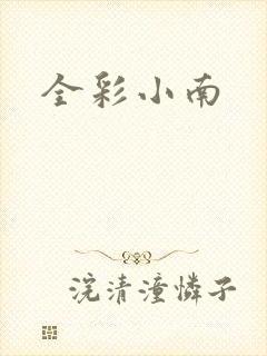 全彩小南封面