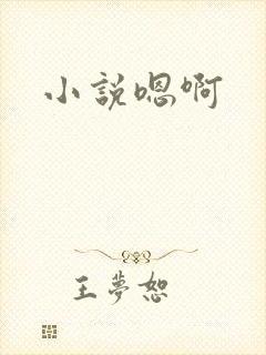小说嗯啊