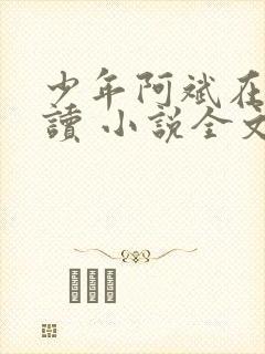 少年阿斌在线阅读 小说全文免费封面