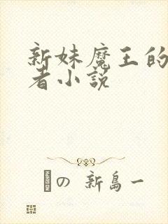 新妹魔王的契约者小说