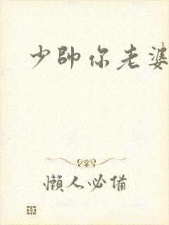 少帅你老婆