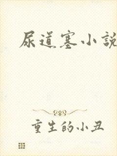 尿道塞小说