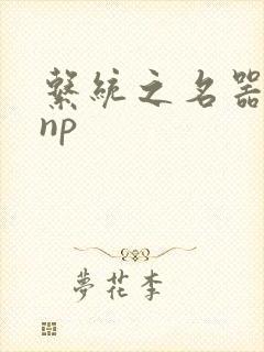 系统之名器攻略np封面