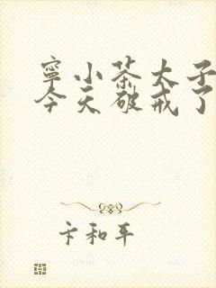 宁小茶太子殿下今天破戒了吗免费阅读封面