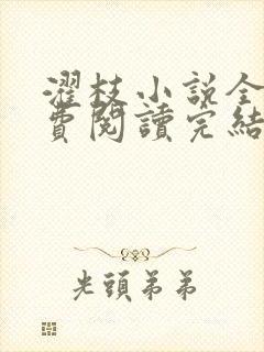濯枝小说全文免费阅读完结封面