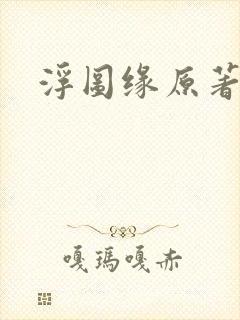 浮图缘原著小说封面