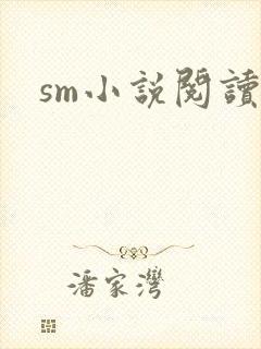 sm小说阅读