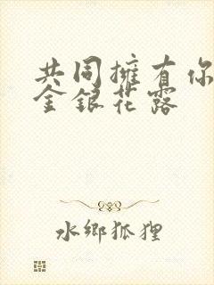 共同拥有你by金银花露