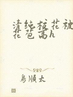 清纯校花被迫开花苞高h
