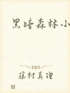 黑暗森林小说