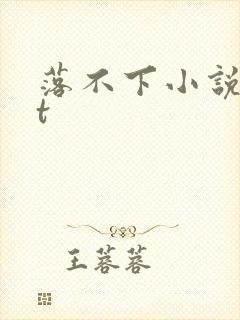 落不下小说txt