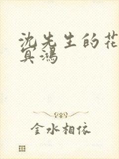 沈先生的花式调冥鸿