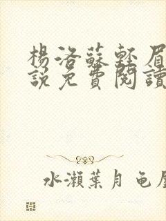 杨洛苏轻眉笔小说免费阅读