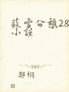 苏雪公憩28篇小说封面