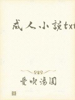 成人小说txt