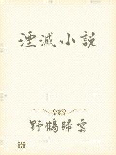 湮灭小说