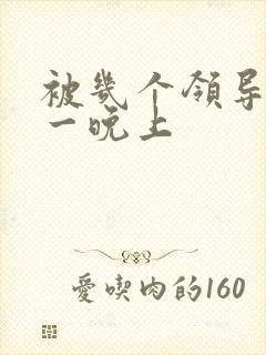 被几个领导玩弄一晚上