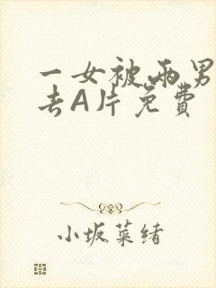 一女被两男桶进去A片免费