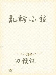 乱轮小说