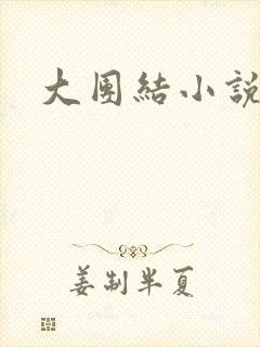 大团结小说全文封面